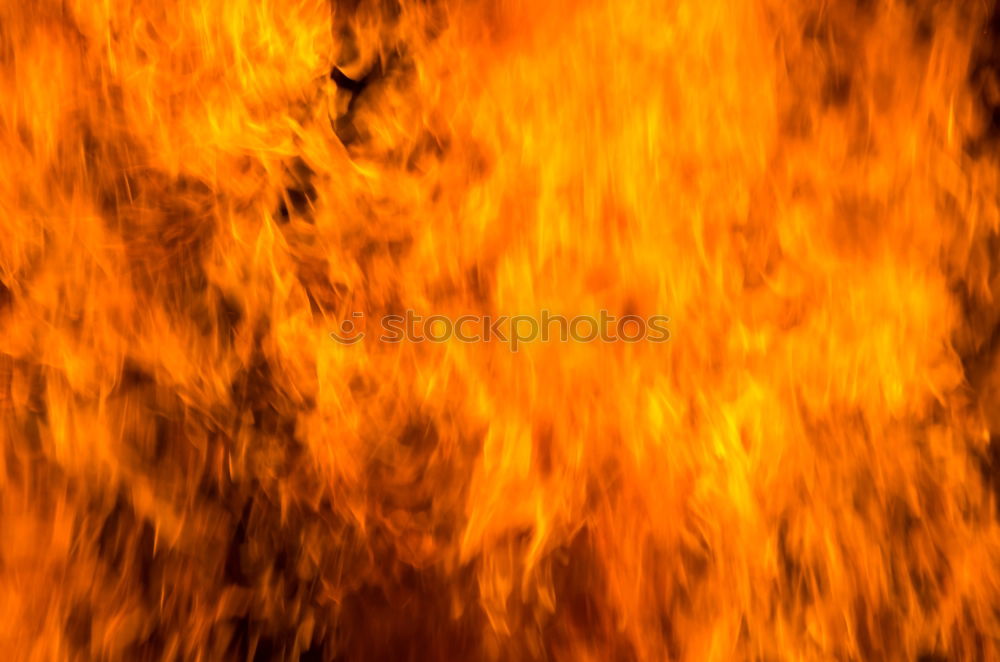 Similar – Image, Stock Photo Forest fire Education