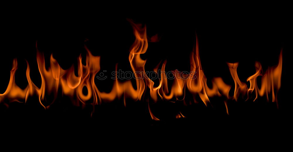 Close-up of a single flame.