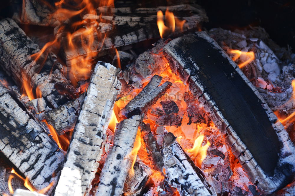 Similar – grillen Grill Grillen heiß