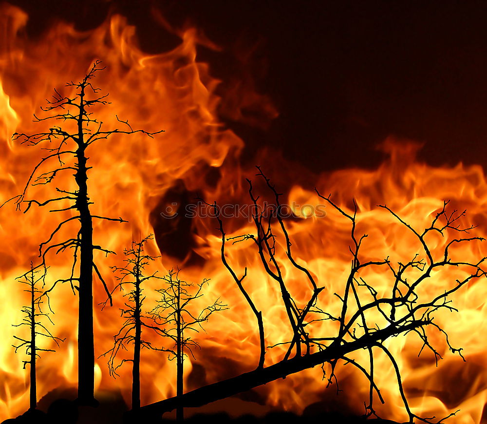 Similar – Image, Stock Photo Forest fire Agriculture