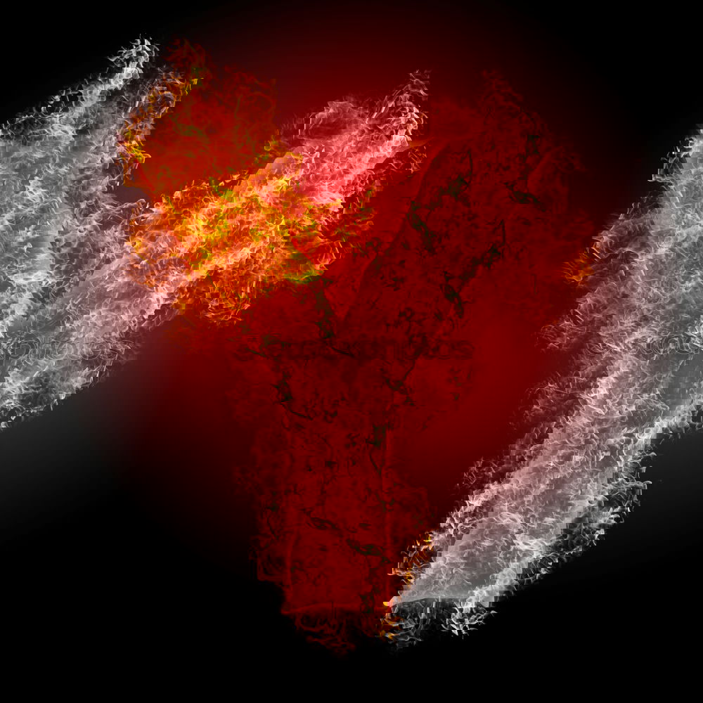 Similar – Foto Bild HerzSchlag Feste & Feiern