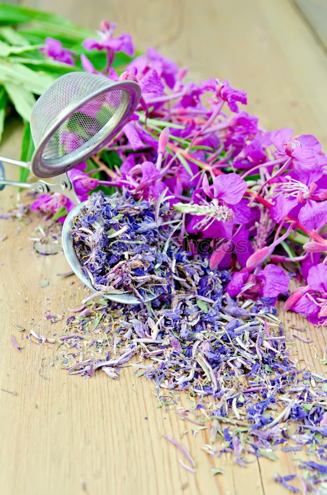 Similar – Aromatherapy, wellness and spa with lilac flowers