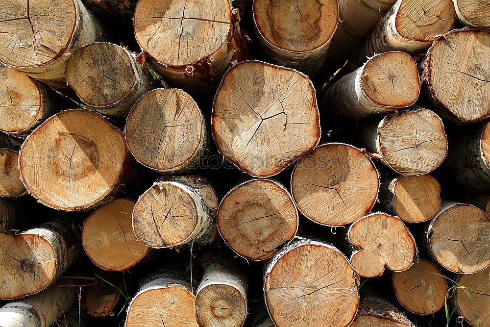 Similar – Image, Stock Photo Raw wood with different resistance