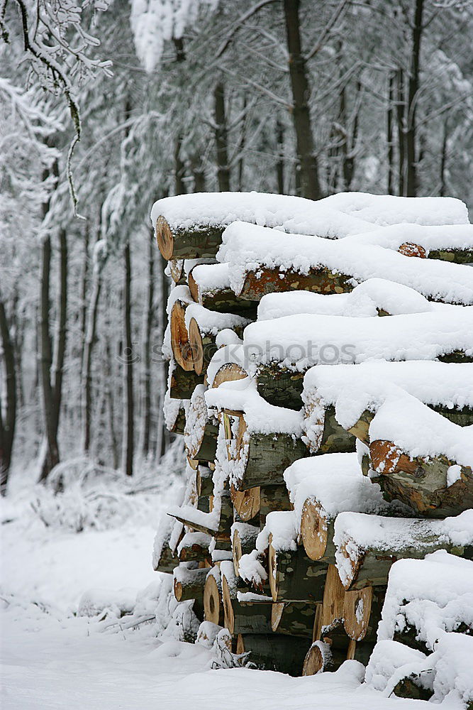 vorher/nachher Winter