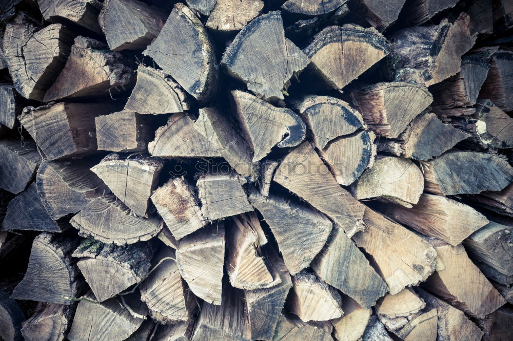 Wood in front of the hut