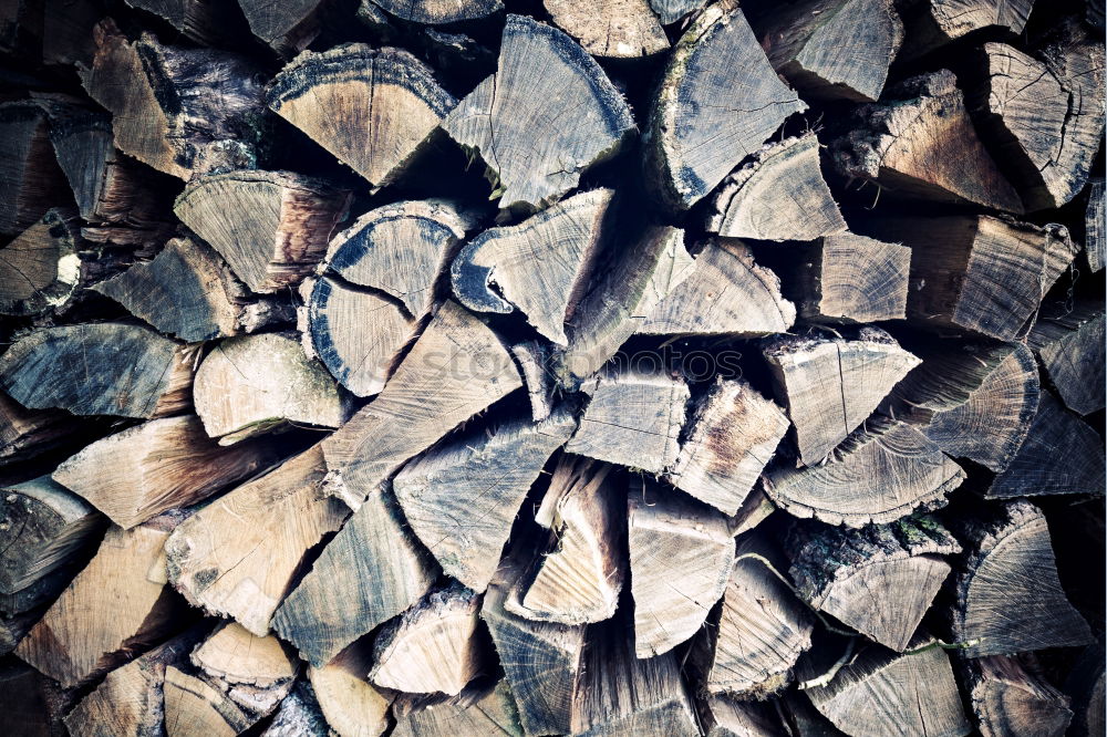 Similar – Image, Stock Photo Wood in front of the hut