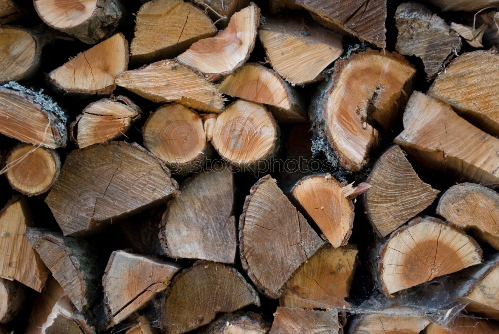 Similar – Image, Stock Photo Raw wood with different resistance