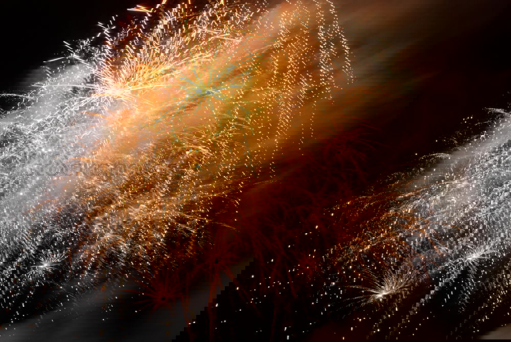 Foto Bild goldregen Explosion
