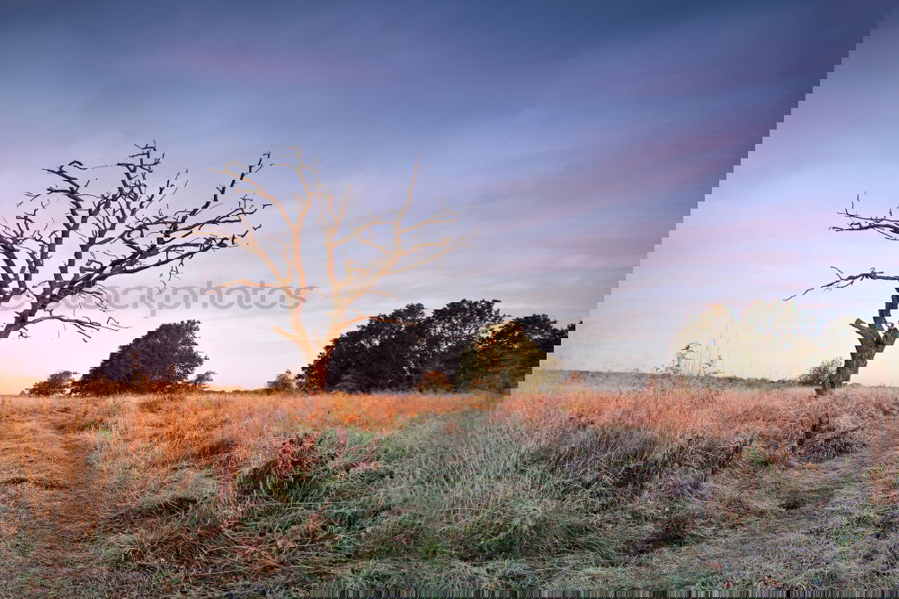 Image, Stock Photo wet feet Environment