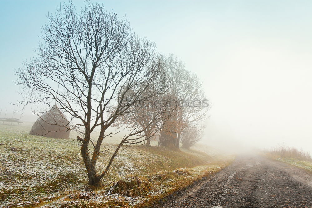 Image, Stock Photo Cold days Senses Calm