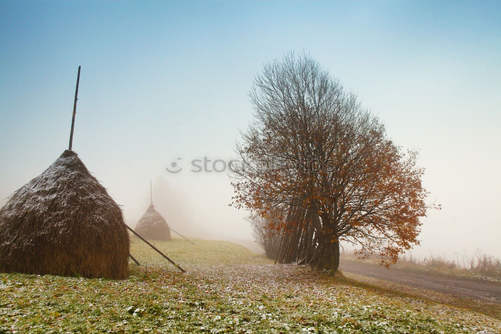 First autumn snow on alpine mountain misty road