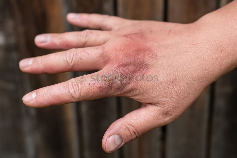 Similar – Image, Stock Photo top-secret time of day.