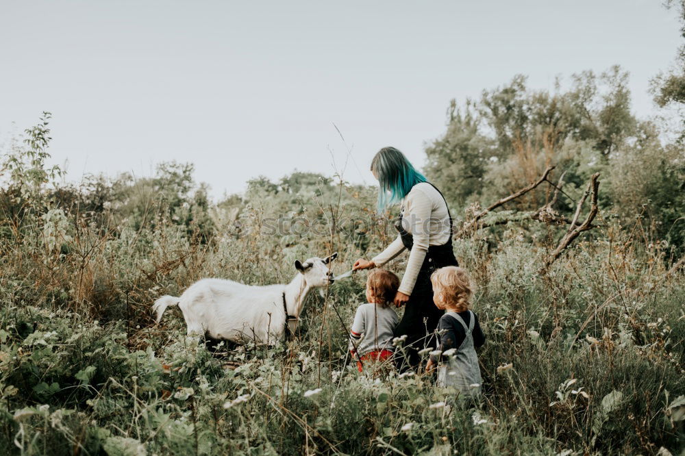 Similar – Couple kissing while making a break to do trekking