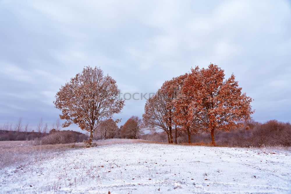 Similar – Red Houses