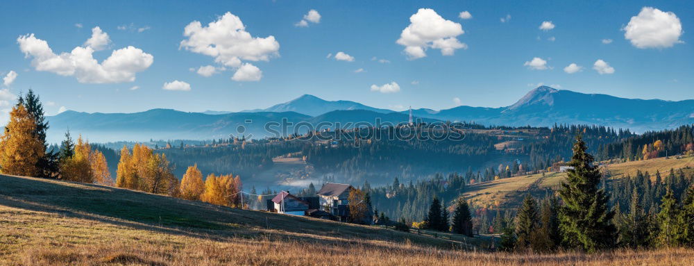 Similar – Image, Stock Photo Green pine trees in the mountains