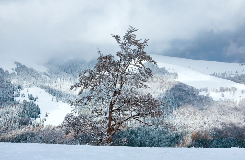 Similar – Image, Stock Photo snow at higher altitudes