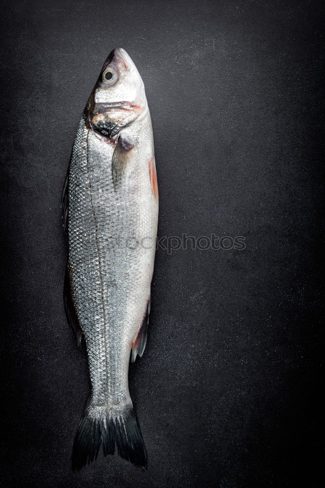 Similar – fresh whole sea bass fish