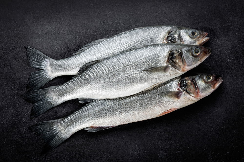 Similar – fresh whole sea bass fish