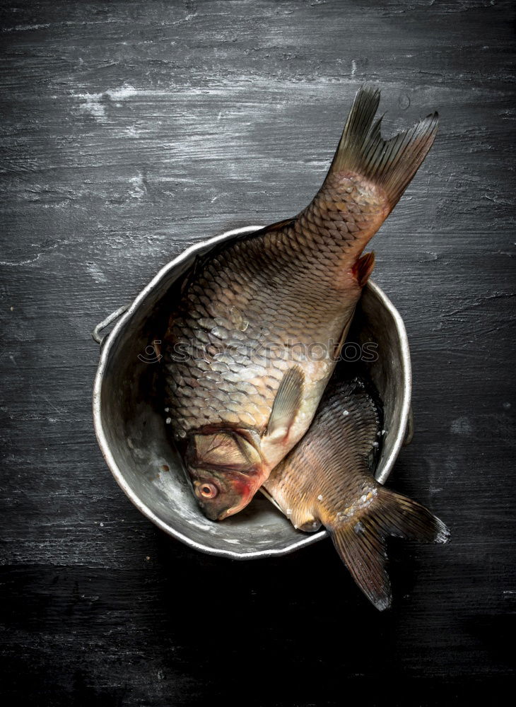 Similar – Frozen fish smelt on the kitchen board