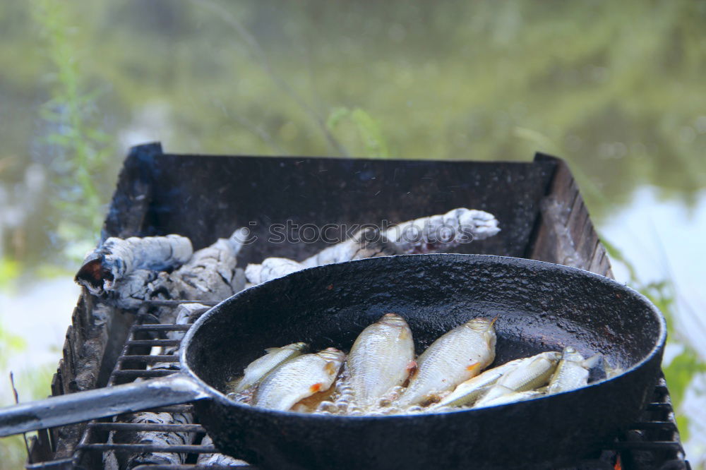 Similar – Fische grillen ist besser als Grillen fischen