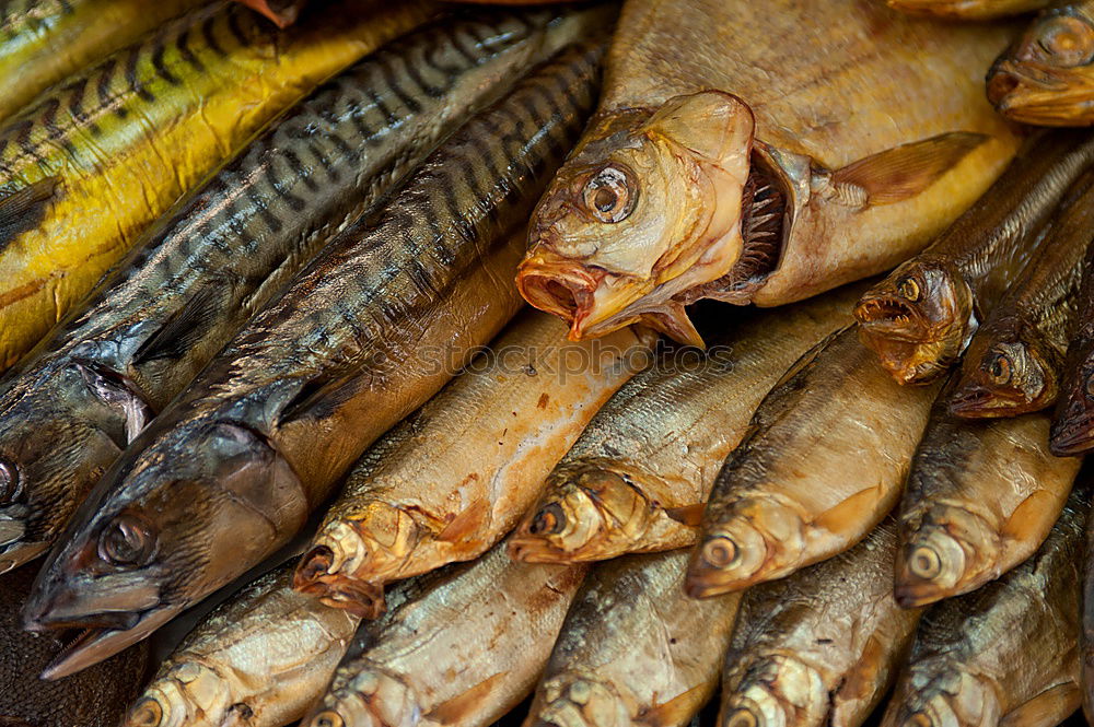 Similar – Fresh fish on the market