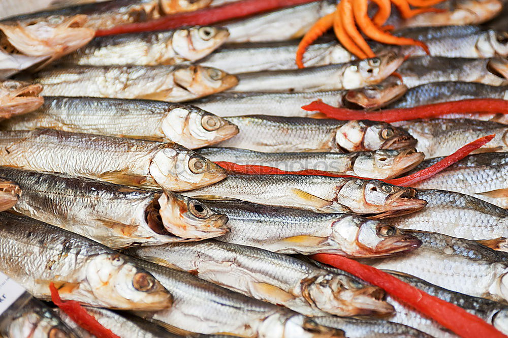 Foto Bild Fischer Fritzes frische Fisch-Schüssel