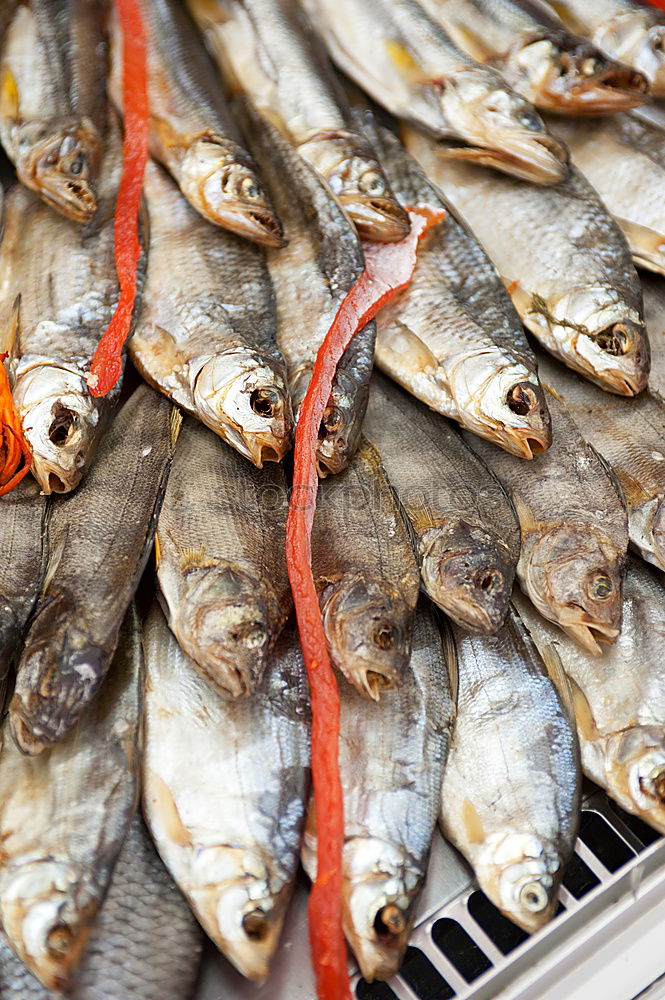 Similar – Image, Stock Photo Freshly caught Food Fish