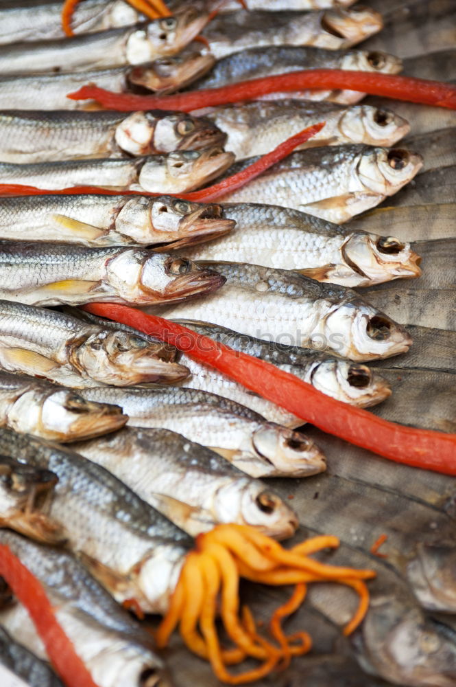 Similar – Foto Bild Fischer Fritzes frische Fisch-Schüssel