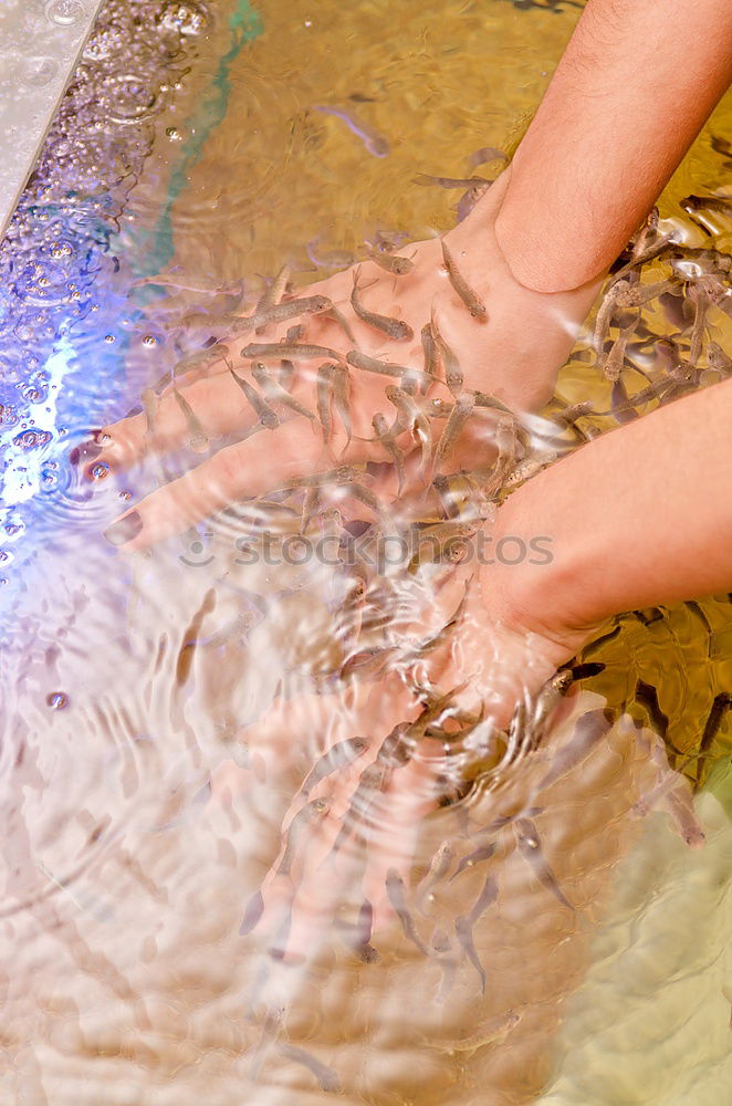 Similar – Image, Stock Photo waterfall Nature Water