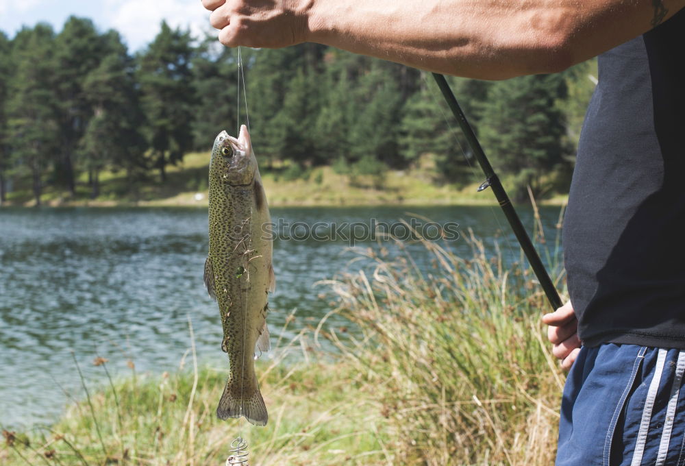 Fisherman caught a fish