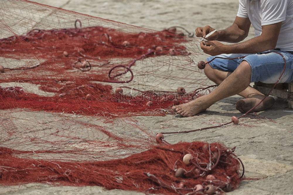 Similar – Image, Stock Photo the fisherman’s net