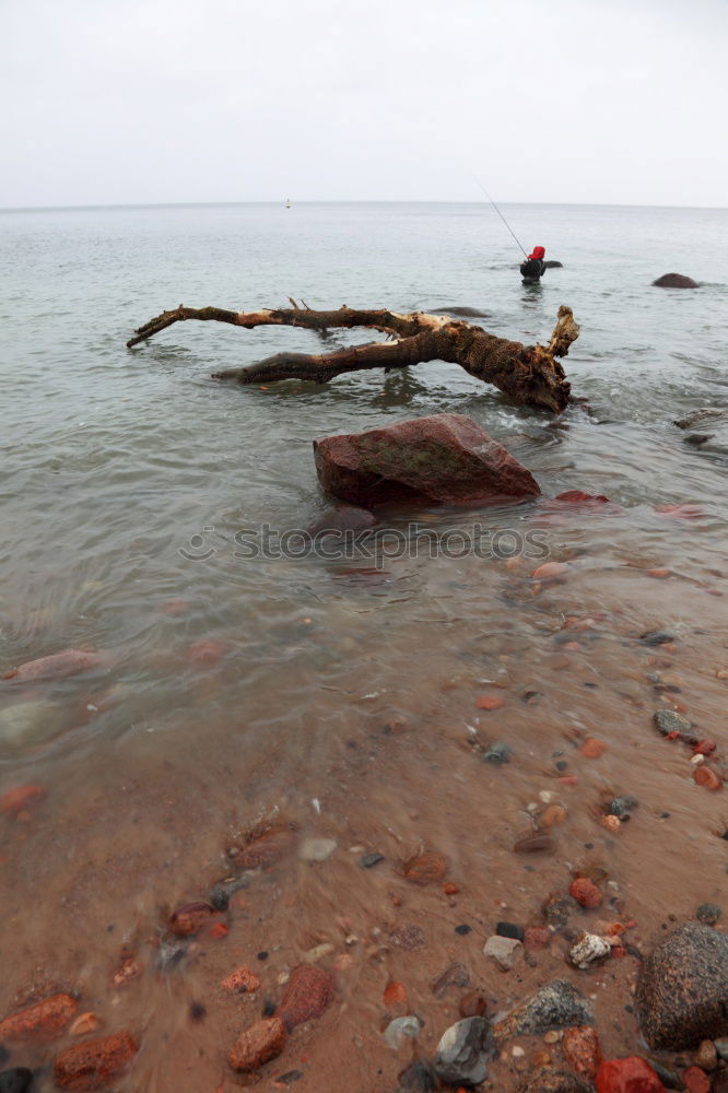 Similar – Image, Stock Photo Fehmarn Environment Nature