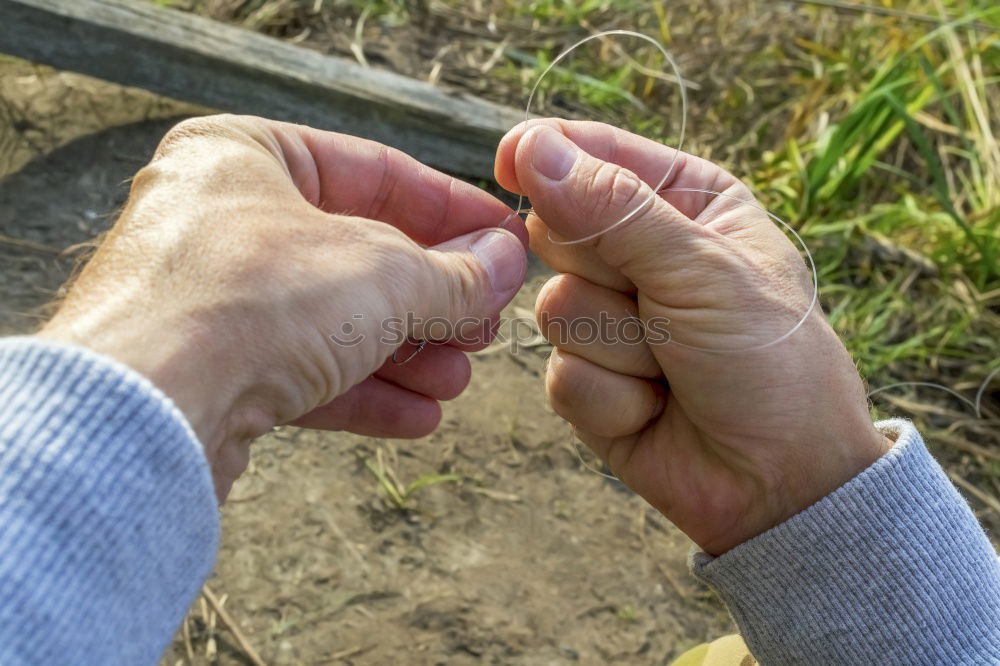 Similar – Image, Stock Photo Child holds beans seeds in hand