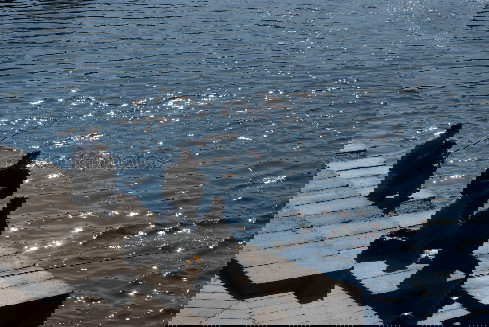 Similar – Image, Stock Photo Paris 1966 Seine