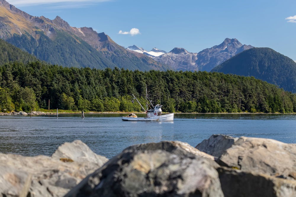 Image, Stock Photo Trash 2018 in front of the cabin!