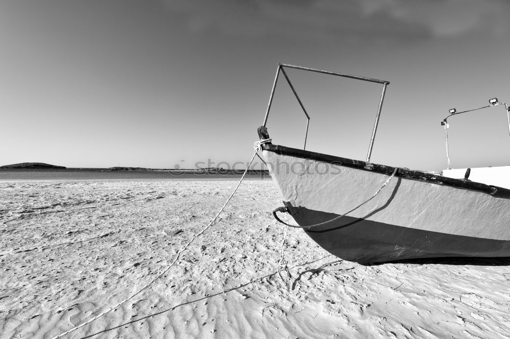 Similar – segelboote Natur Gras