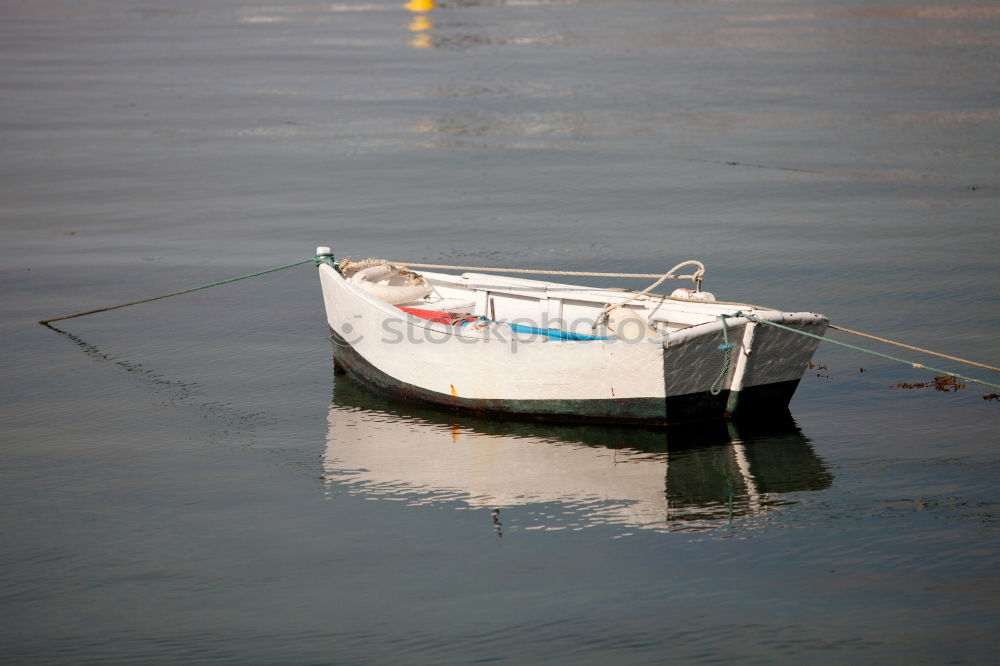 Similar – Gestrandet Wasserfahrzeug