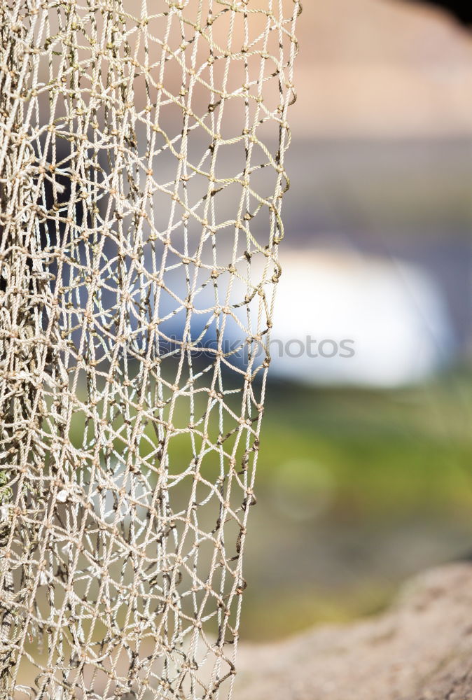 Similar – Image, Stock Photo Man working with fishing net