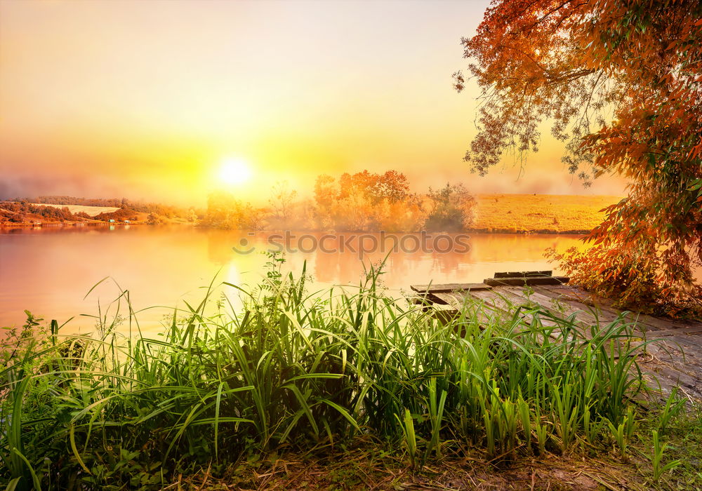 Similar – Summer evening at the Bodden