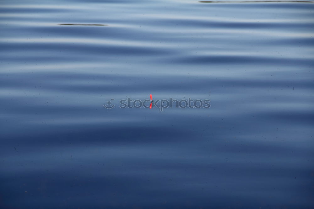 Similar – Image, Stock Photo waterboy Rowing Rower