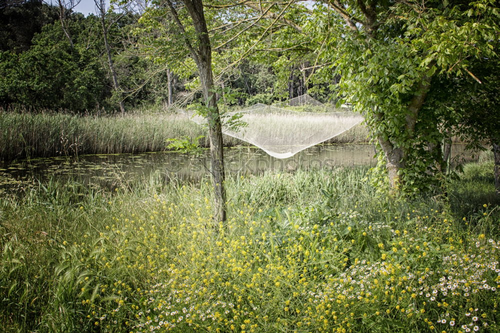 Similar – Image, Stock Photo reverse Wood Tin Pond Lake