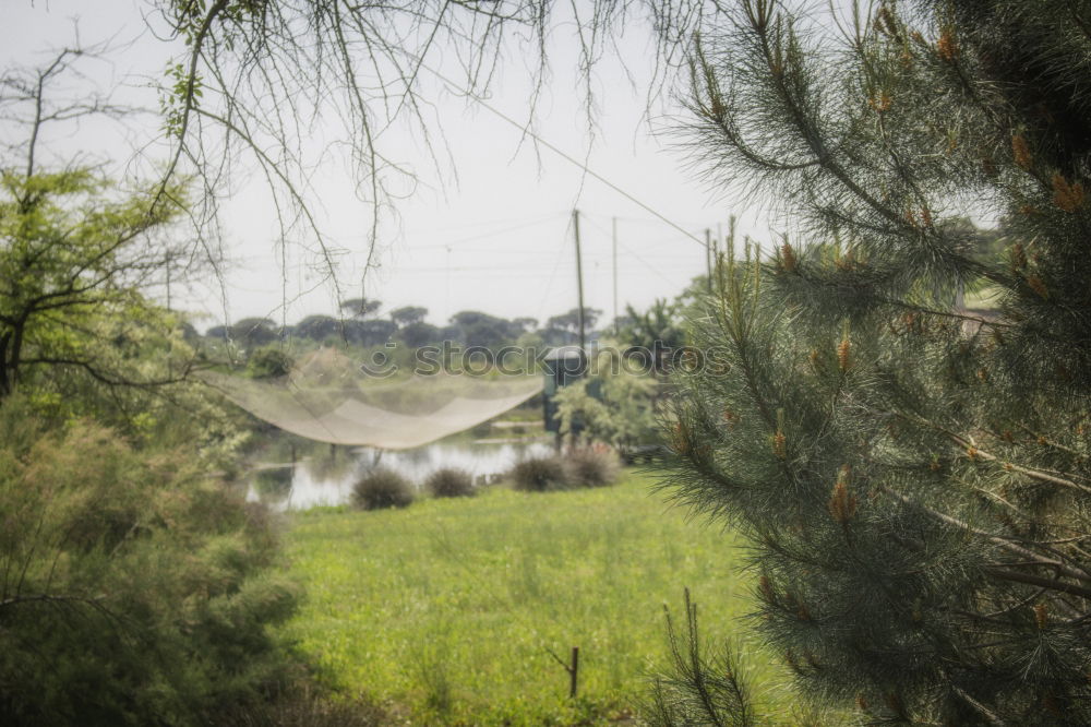 Similar – Image, Stock Photo promenade Environment