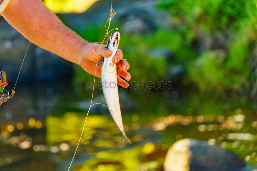 Similar – Fisherman caught a fish