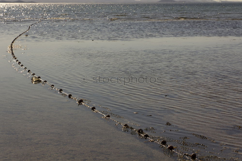 Similar – Kind mit Hund an der Nordsee