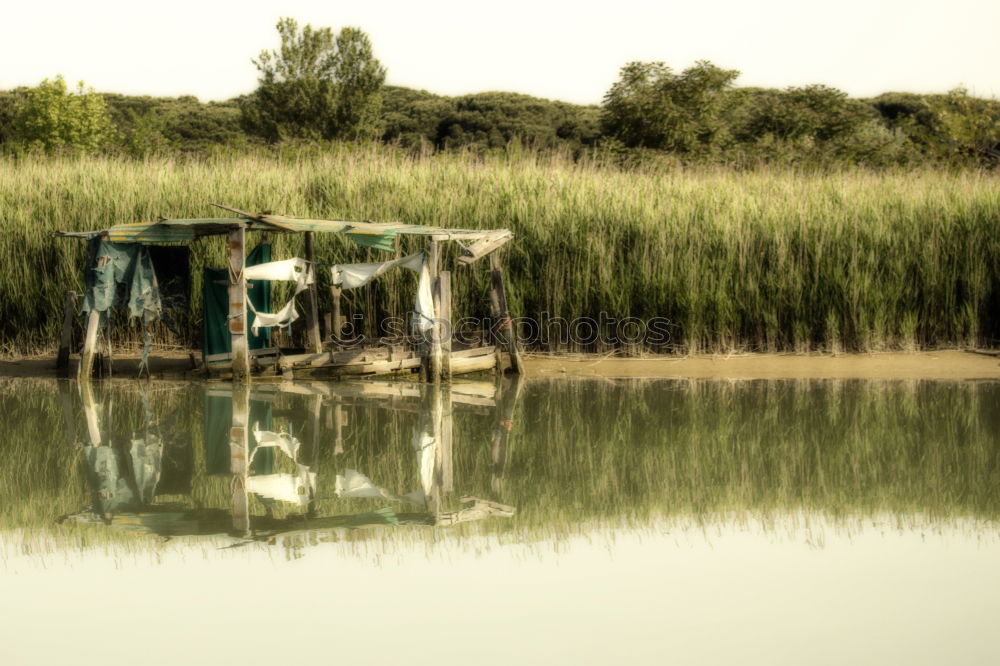 Similar – Hiddensee | es gibt immer einen Platz für dich