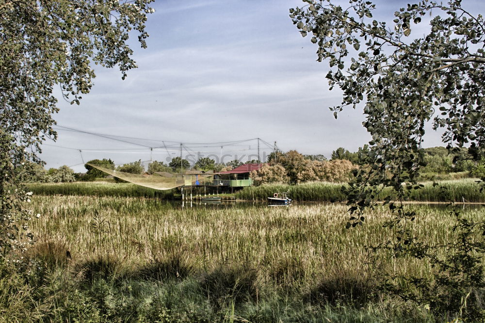 Similar – Foto Bild Denkwürdiger Ort Baum