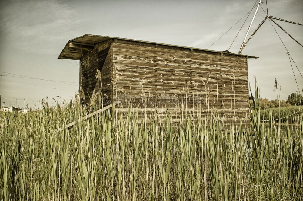 Similar – hut Sky Clouds Deserted