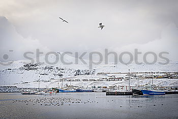 Similar – Image, Stock Photo seydisfjördur.