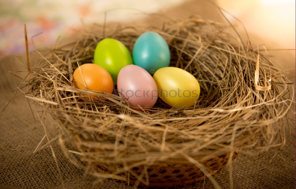 Image, Stock Photo Easter eggs in a basket on wooden background