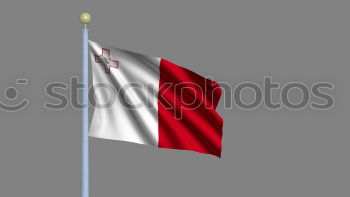 Similar – Image, Stock Photo Circling Milan Flag Bird